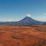 Plate-Tectonics-MCQ_10139982